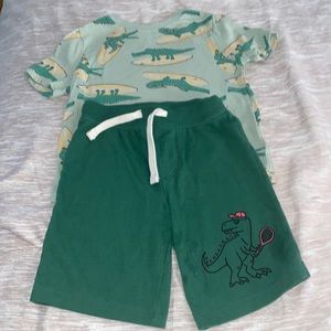 Adorable Shorts and Tee Matching Set 5T